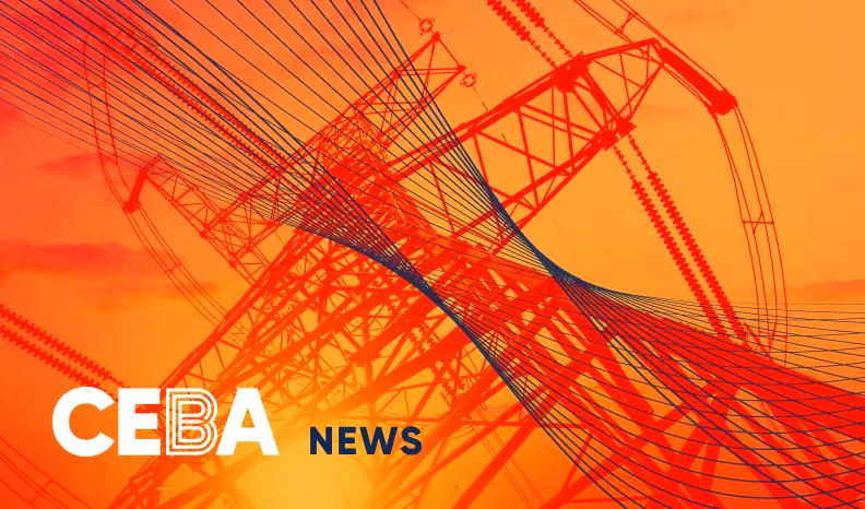 Shaping Up the US Power Grid