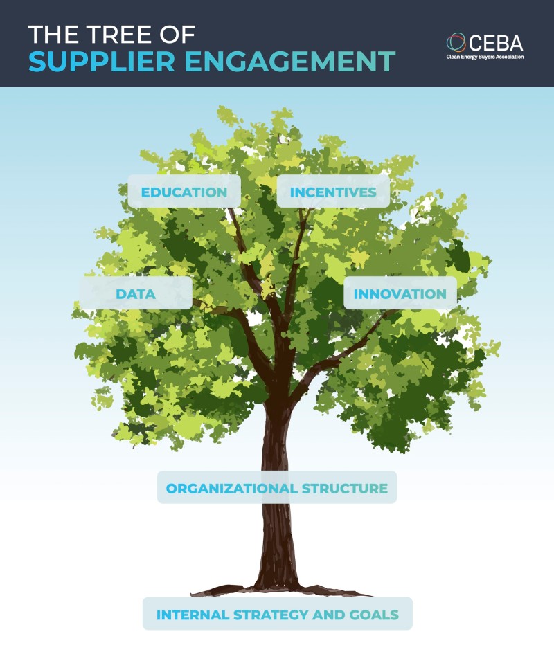 The Tree of Supplier Engagement: A New Framework for Supply Chain Engagement Strategy